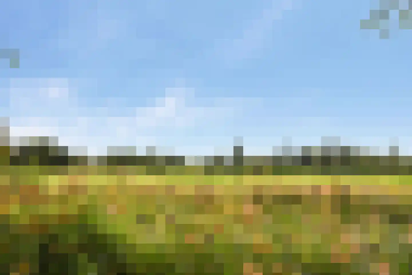 Swanevelt 37 Ouderkerk aan de Amstel thumbnail 29