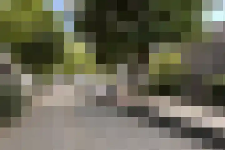 Swanevelt 40 Ouderkerk aan de Amstel thumbnail 17
