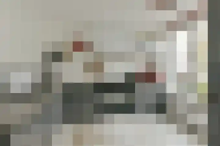 Swanevelt 40 Ouderkerk aan de Amstel thumbnail 8