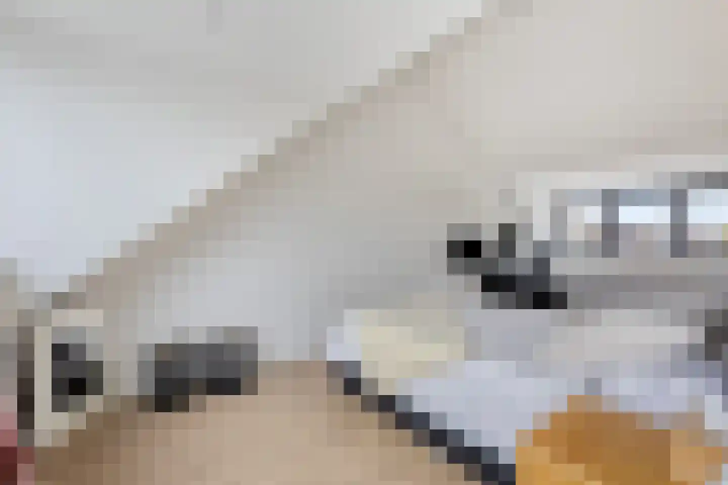 Swanevelt 43 Ouderkerk aan de Amstel thumbnail 33