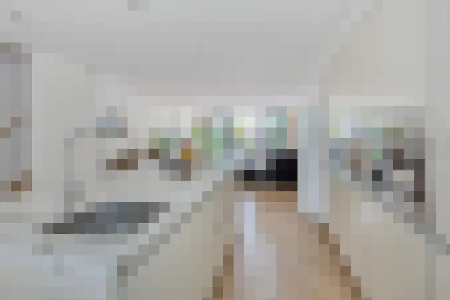 Swanevelt 43 Ouderkerk aan de Amstel thumbnail 5