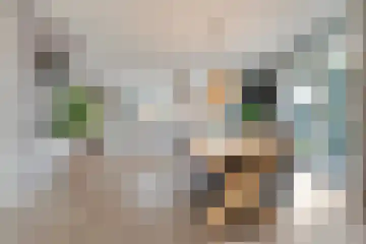 Swankhuisenwerf 8 Dedemsvaart thumbnail 10