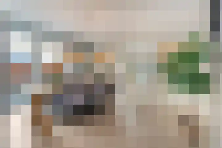Swankhuisenwerf 8 Dedemsvaart thumbnail 11