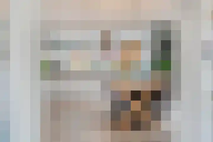 Swankhuisenwerf 8 Dedemsvaart thumbnail 14