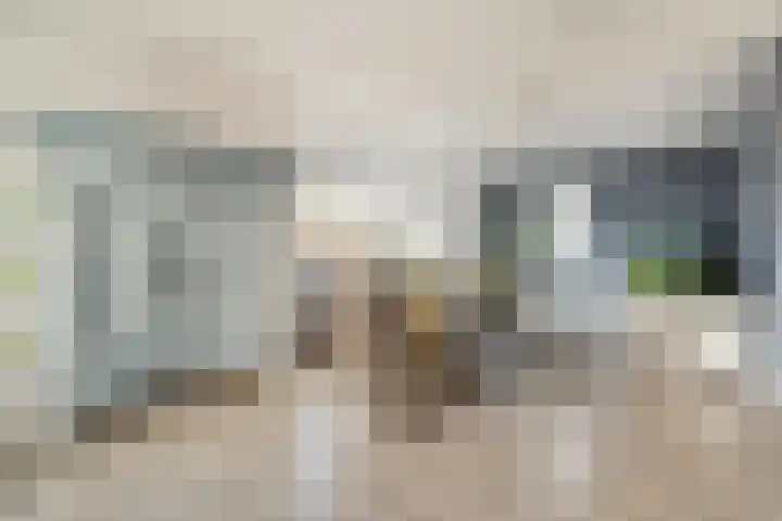 Swankhuisenwerf 8 Dedemsvaart thumbnail 16
