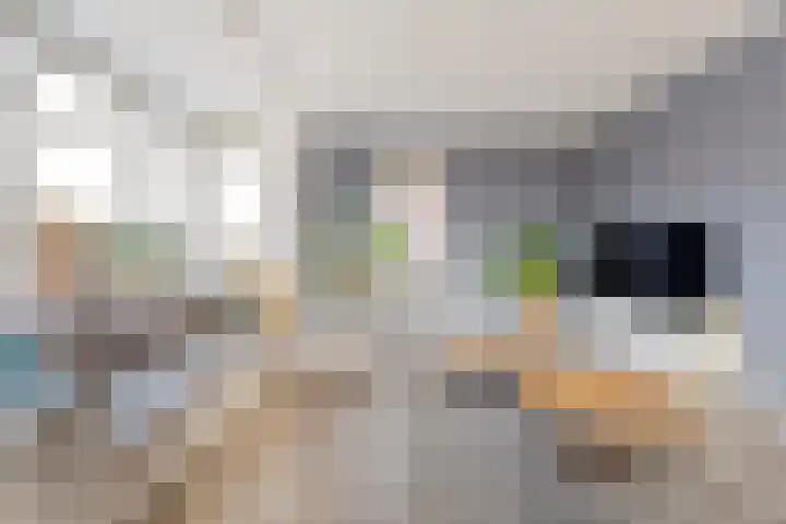 Swankhuisenwerf 8 Dedemsvaart thumbnail 17