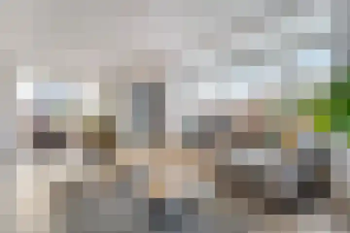 Swankhuisenwerf 8 Dedemsvaart thumbnail 18