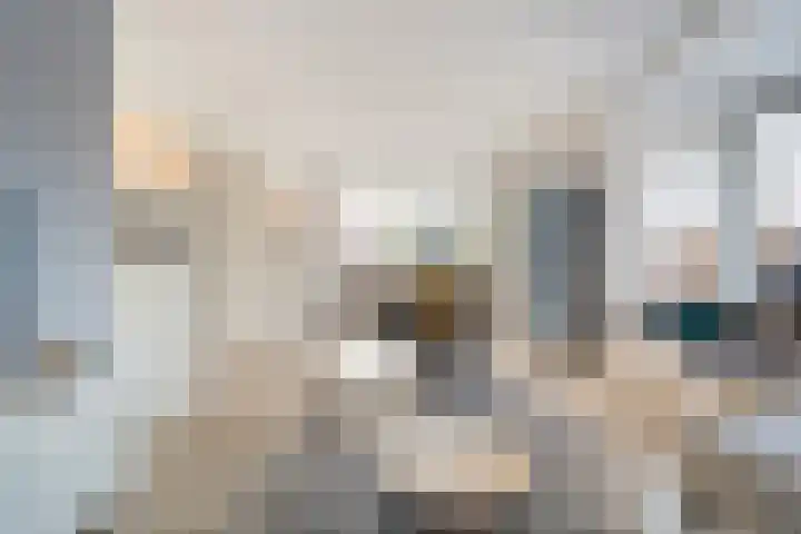 Swankhuisenwerf 8 Dedemsvaart thumbnail 19