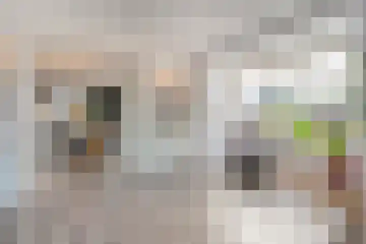 Swankhuisenwerf 8 Dedemsvaart thumbnail 20