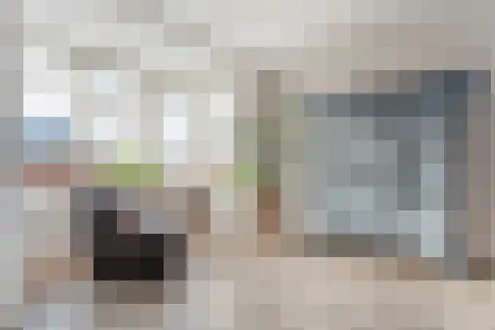 Swankhuisenwerf 8 Dedemsvaart thumbnail 21
