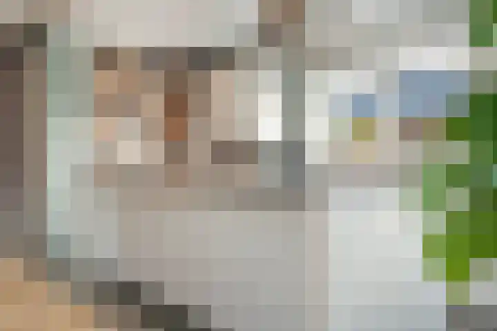 Swankhuisenwerf 8 Dedemsvaart thumbnail 22