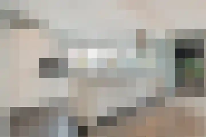 Swankhuisenwerf 8 Dedemsvaart thumbnail 24