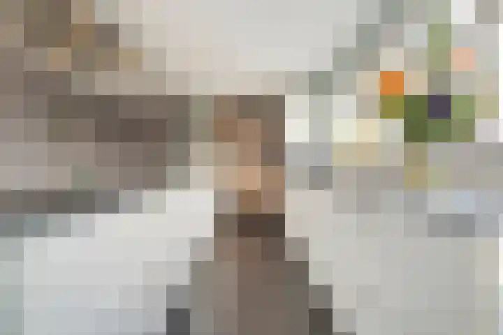 Swankhuisenwerf 8 Dedemsvaart thumbnail 26