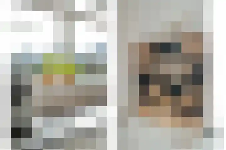 Swankhuisenwerf 8 Dedemsvaart thumbnail 27