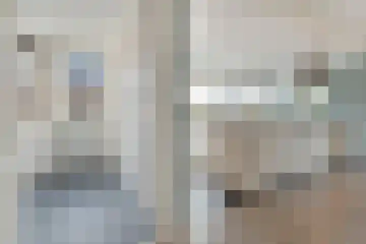 Swankhuisenwerf 8 Dedemsvaart thumbnail 28