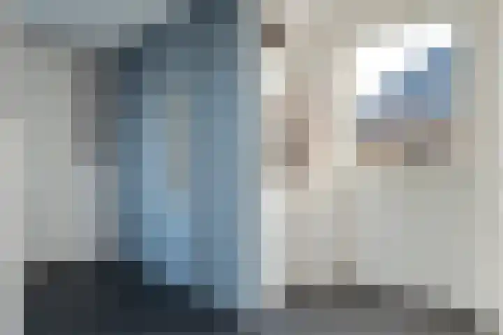 Swankhuisenwerf 8 Dedemsvaart thumbnail 29