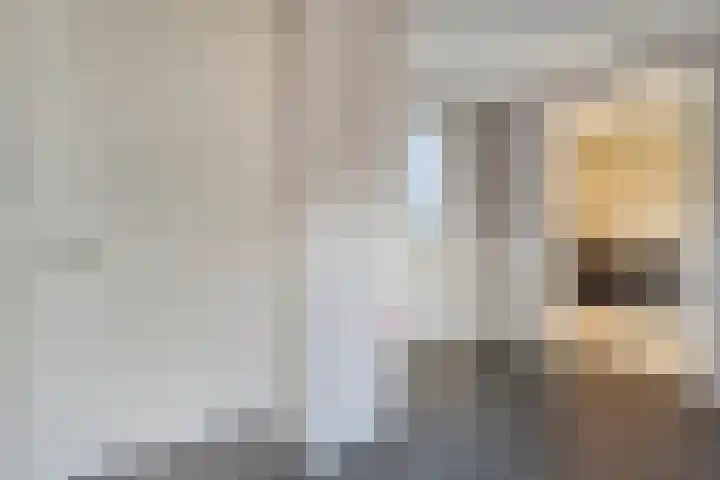 Swankhuisenwerf 8 Dedemsvaart thumbnail 30