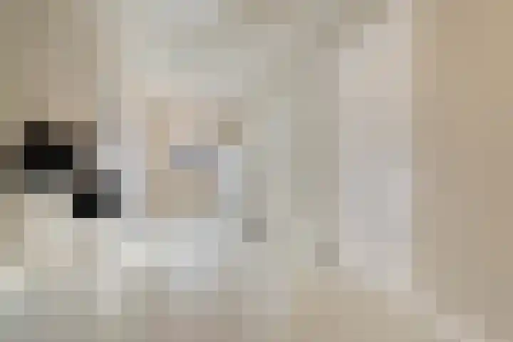 Swankhuisenwerf 8 Dedemsvaart thumbnail 32