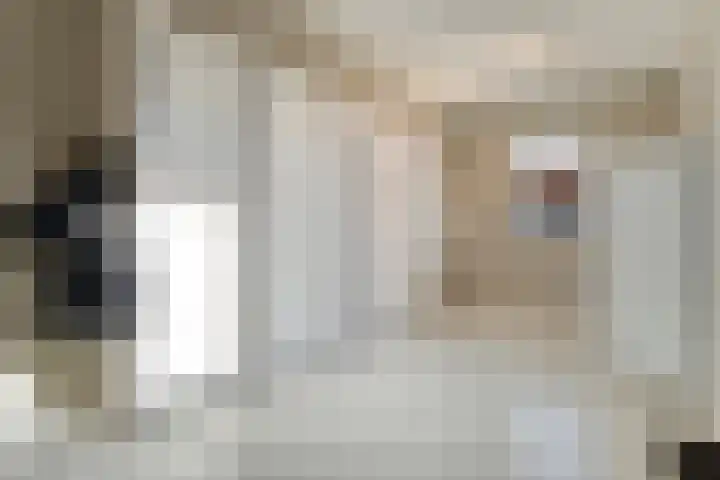 Swankhuisenwerf 8 Dedemsvaart thumbnail 33
