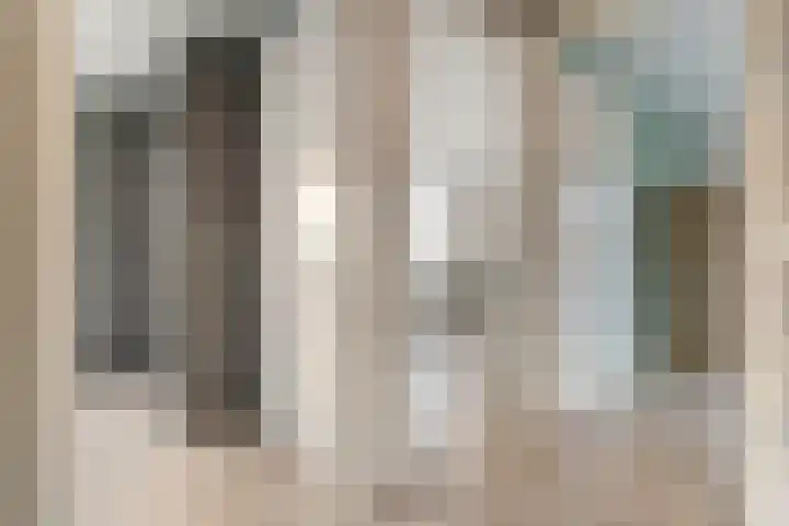 Swankhuisenwerf 8 Dedemsvaart thumbnail 36
