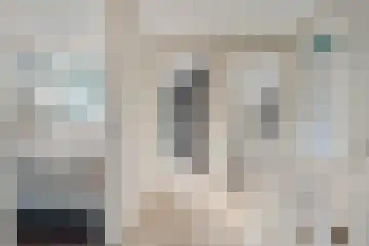 Swankhuisenwerf 8 Dedemsvaart thumbnail 37