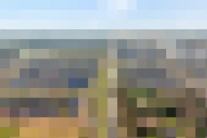 Swankhuisenwerf 8 Dedemsvaart thumbnail 4