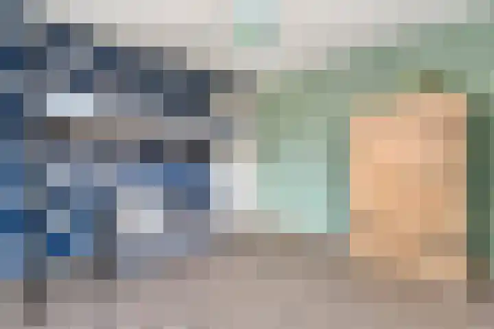 Swankhuisenwerf 8 Dedemsvaart thumbnail 40