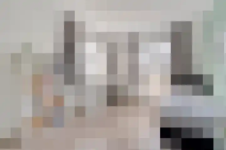 Swankhuisenwerf 8 Dedemsvaart thumbnail 42
