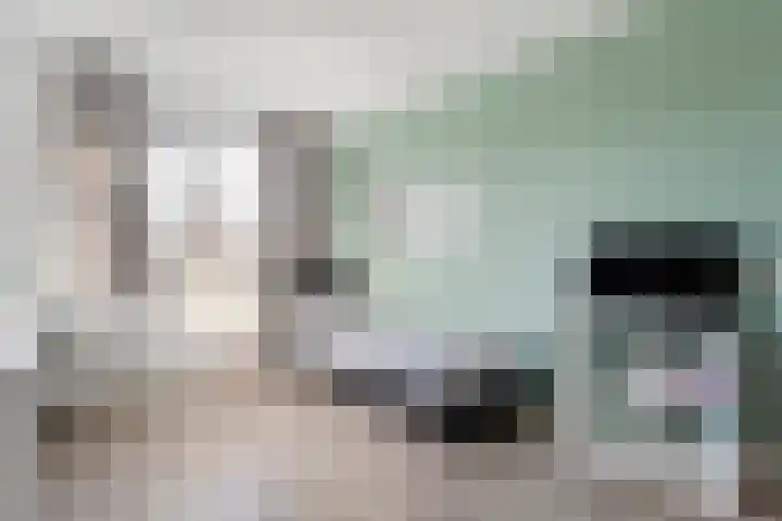 Swankhuisenwerf 8 Dedemsvaart thumbnail 44