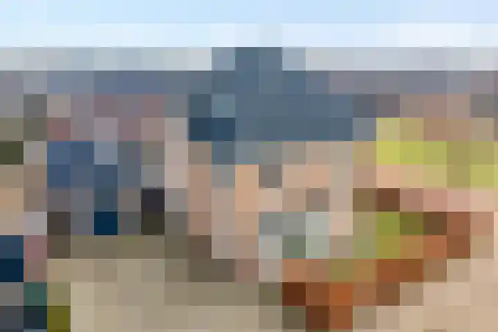 Swankhuisenwerf 8 Dedemsvaart thumbnail 5