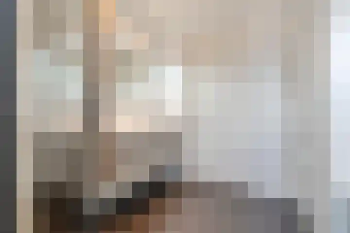 Swankhuisenwerf 8 Dedemsvaart thumbnail 50