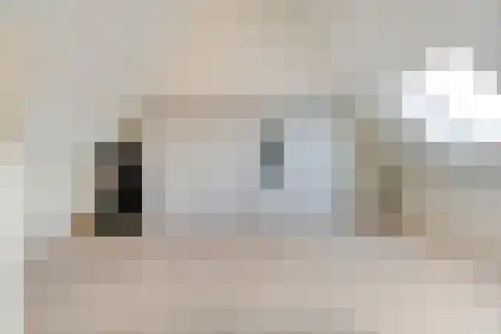 Swankhuisenwerf 8 Dedemsvaart thumbnail 52
