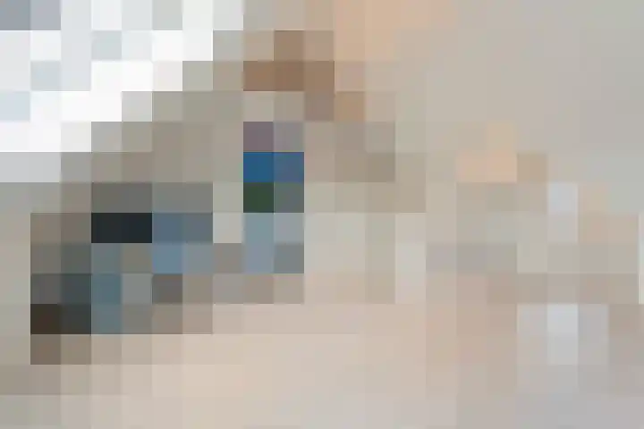 Swankhuisenwerf 8 Dedemsvaart thumbnail 54