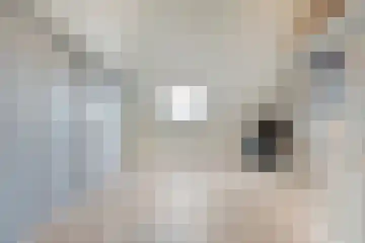 Swankhuisenwerf 8 Dedemsvaart thumbnail 55