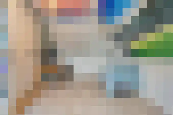 Swankhuisenwerf 8 Dedemsvaart thumbnail 57