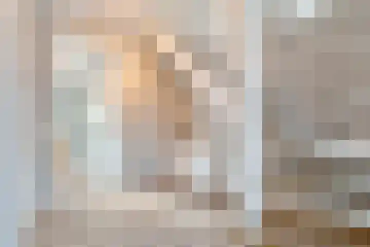 Swankhuisenwerf 8 Dedemsvaart thumbnail 6