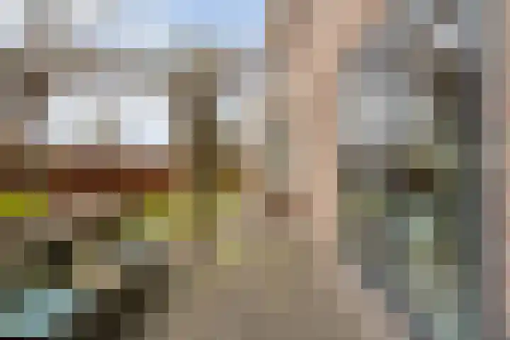 Swankhuisenwerf 8 Dedemsvaart thumbnail 61