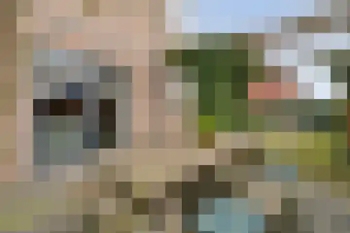 Swankhuisenwerf 8 Dedemsvaart thumbnail 63