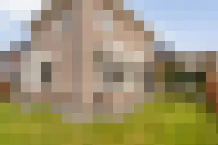Swankhuisenwerf 8 Dedemsvaart thumbnail 64