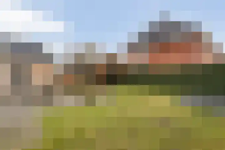Swankhuisenwerf 8 Dedemsvaart thumbnail 65