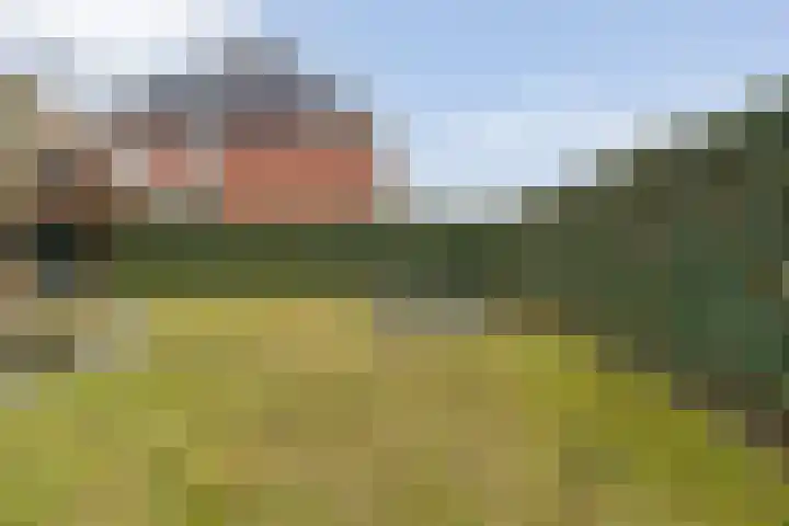 Swankhuisenwerf 8 Dedemsvaart thumbnail 66