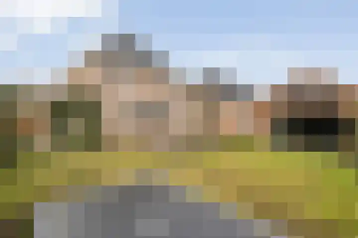 Swankhuisenwerf 8 Dedemsvaart thumbnail 67