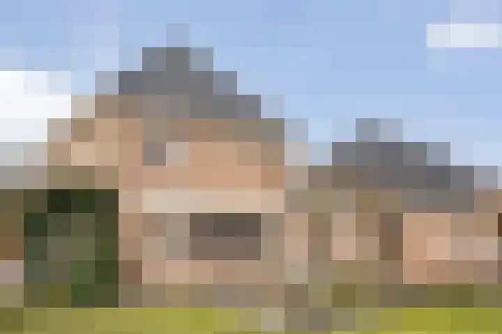 Swankhuisenwerf 8 Dedemsvaart thumbnail 68