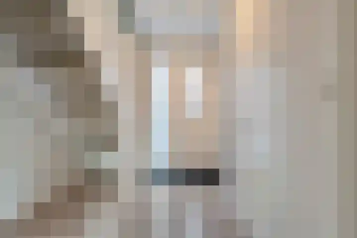 Swankhuisenwerf 8 Dedemsvaart thumbnail 7