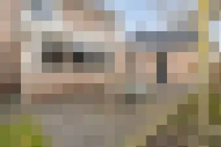 Swankhuisenwerf 8 Dedemsvaart thumbnail 70