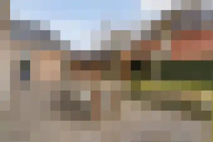 Swankhuisenwerf 8 Dedemsvaart thumbnail 71