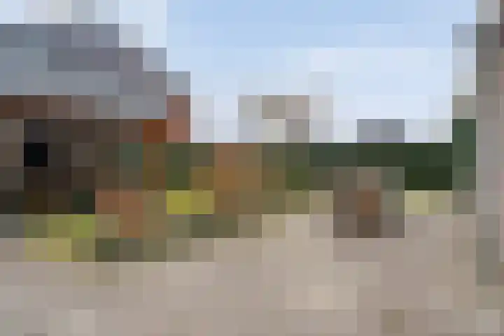 Swankhuisenwerf 8 Dedemsvaart thumbnail 73