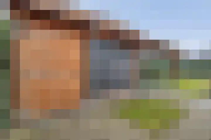Swankhuisenwerf 8 Dedemsvaart thumbnail 75