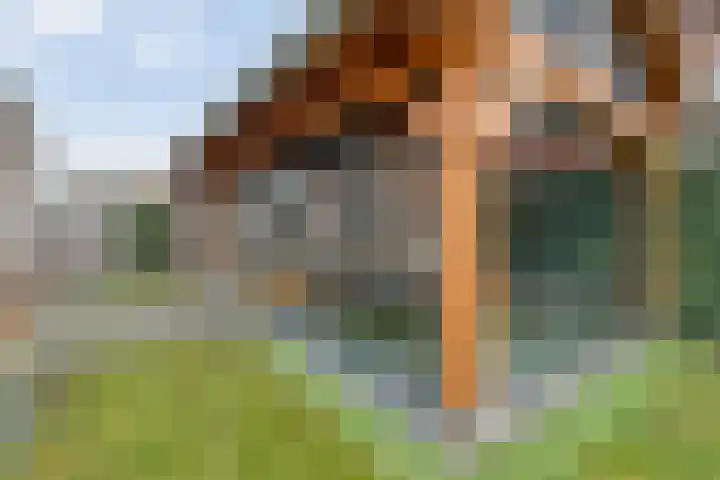 Swankhuisenwerf 8 Dedemsvaart thumbnail 76