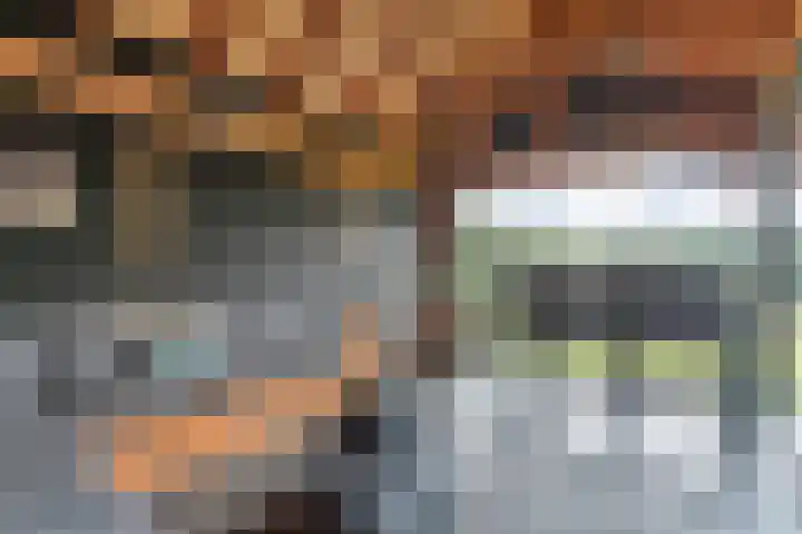 Swankhuisenwerf 8 Dedemsvaart thumbnail 77